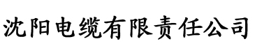 日韩亚洲欧美久久久www综合网电缆厂logo